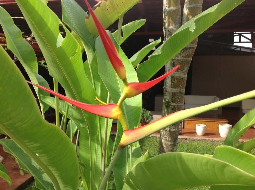 Turrialba Bed & Breakfast Exterior foto