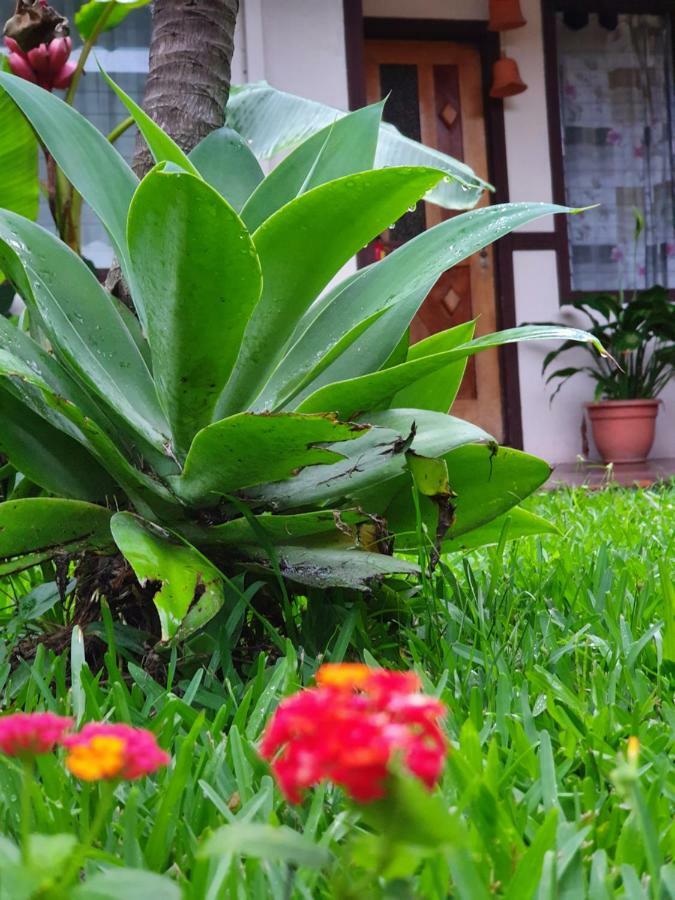 Turrialba Bed & Breakfast Exterior foto