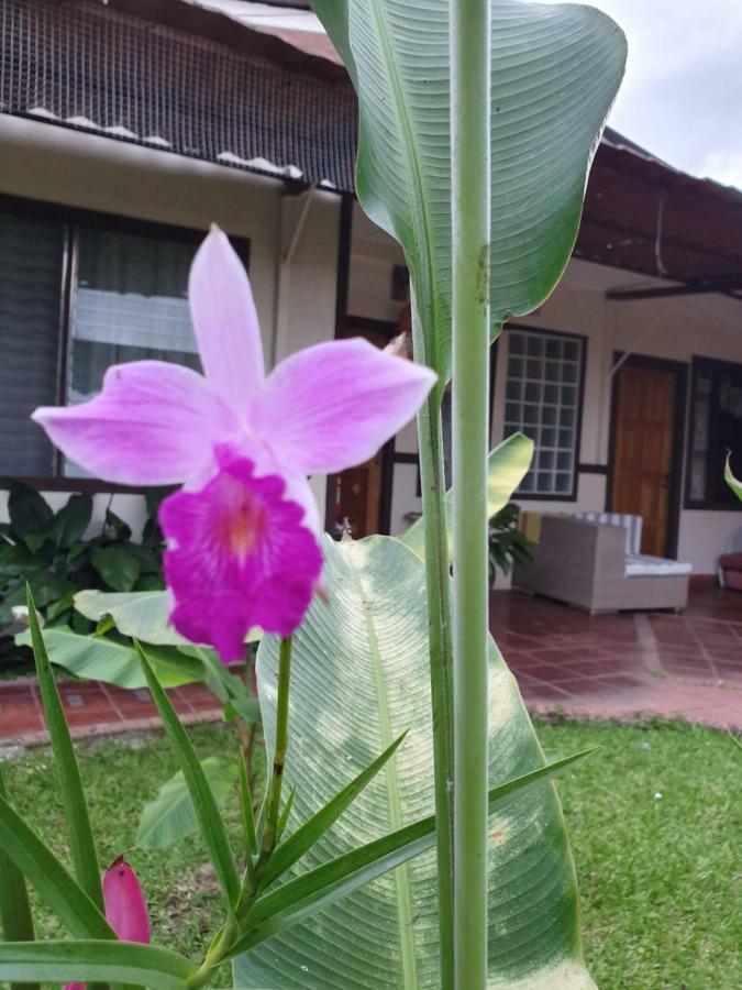 Turrialba Bed & Breakfast Exterior foto