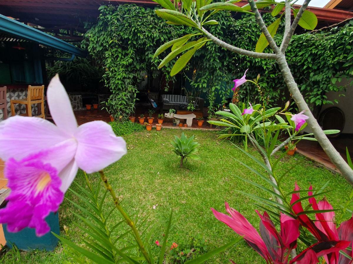 Turrialba Bed & Breakfast Exterior foto