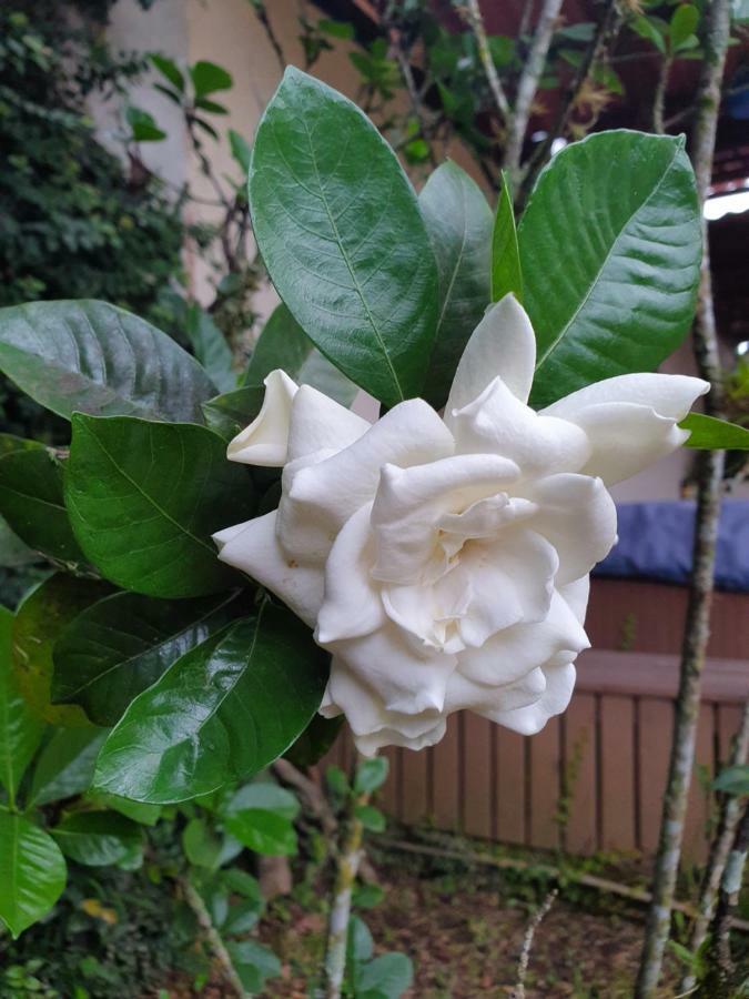 Turrialba Bed & Breakfast Exterior foto